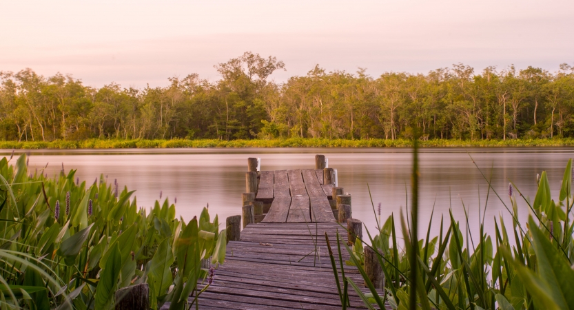A wooden dock stretches out into a calm body of water, framed by green on either side. 